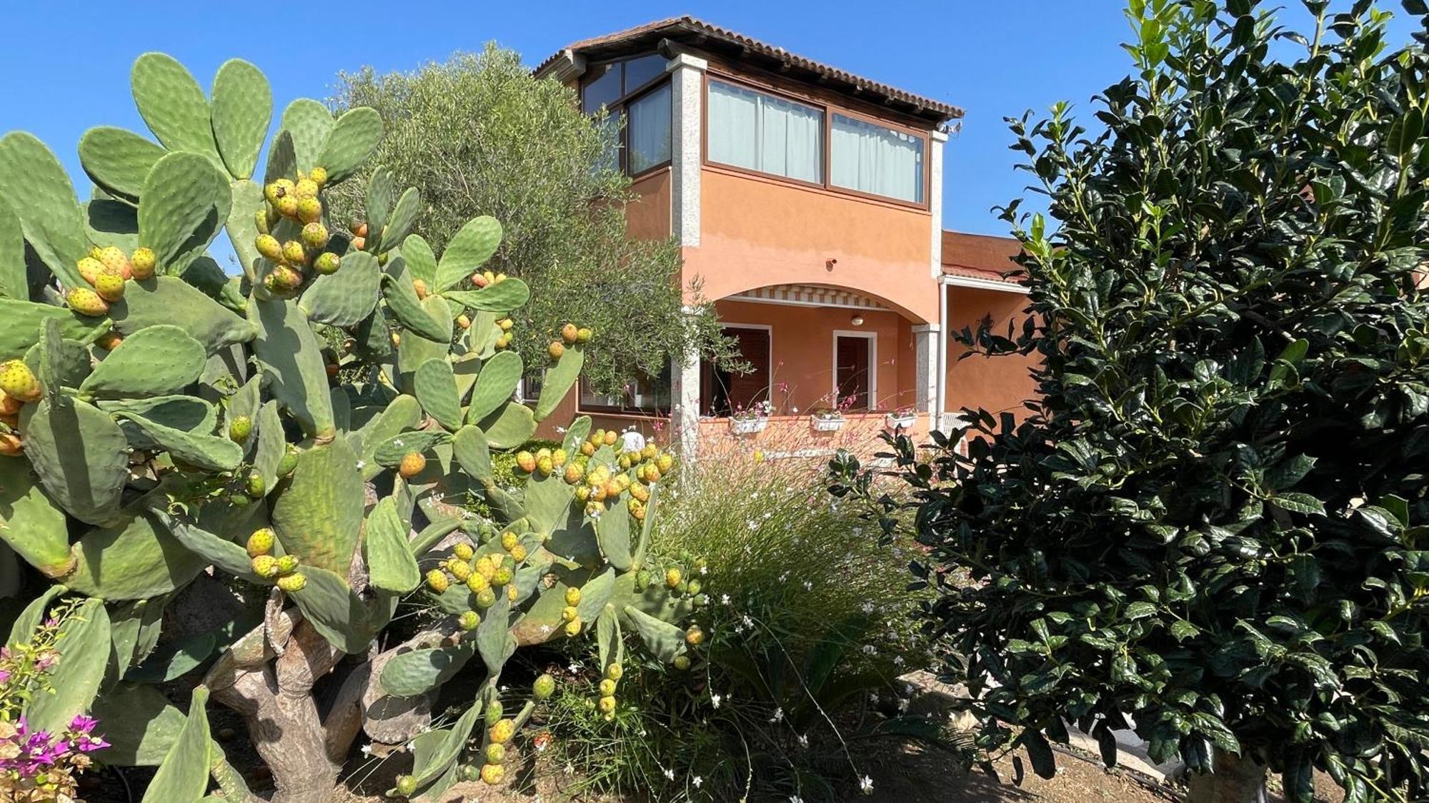 Sardegna - Villa Mirto & Flowers Olbia Exteriér fotografie